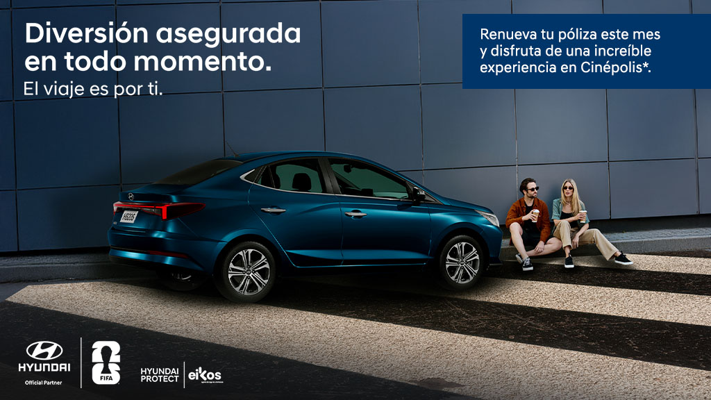 Hyundai Protect